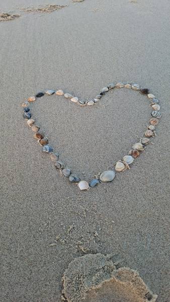 Strandgut sammeln in Callantsoog